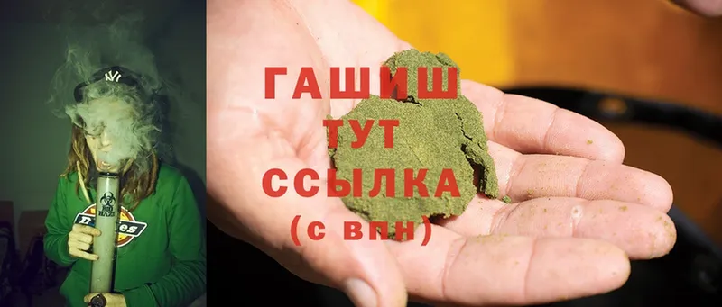 Гашиш Cannabis  Кохма 